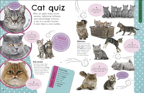 The Fact-Packed Activity Book: Animals