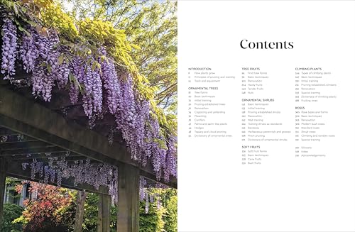 RHS Pruning and Training: What, When, and How to Prune Over 800 Plants