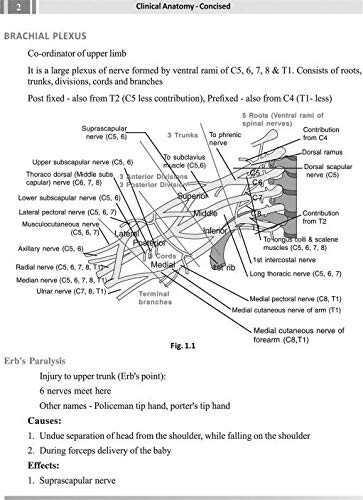 Clinical Anatomy Concised (Includes Gross Anatomy, Embryology, Histology, General Anatomy, Genetics and Model Question Papers) 1st Ed 2017