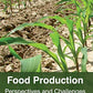 Food Production: Perspectives and Challenges