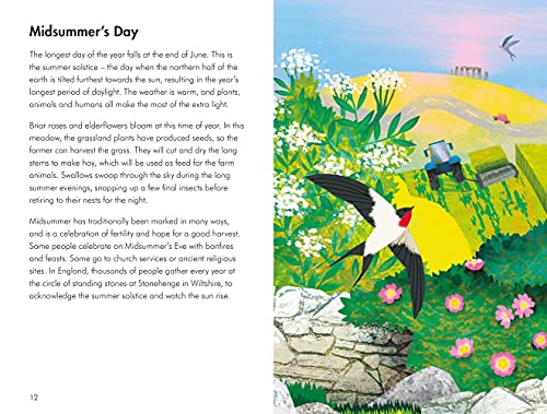 What to Look For in Every Season: A Ladybird Book Boxset