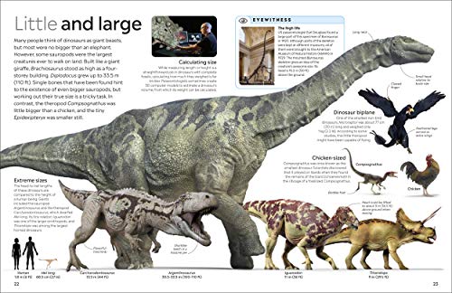 Dinosaur (DK Eyewitness) - Retail Maharaj