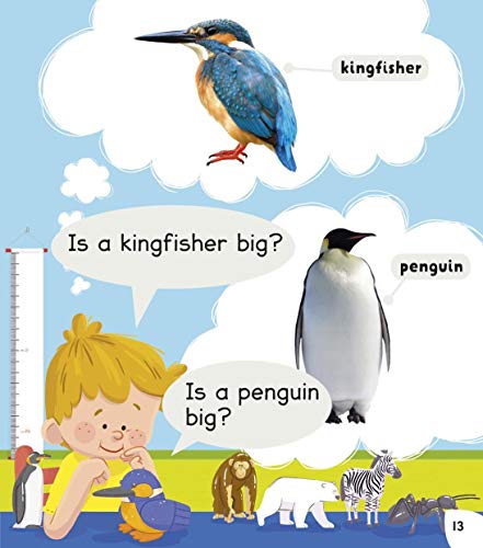 Read With Oxford: Non-Fiction: Stage 1: Animals And Us - Retail Maharaj