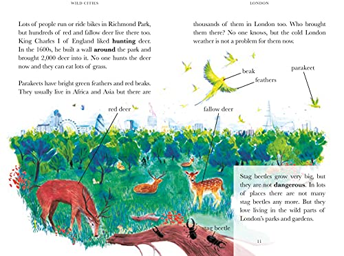 Penguin Readers Level 2: Wild Cities (ELT Graded Reader)