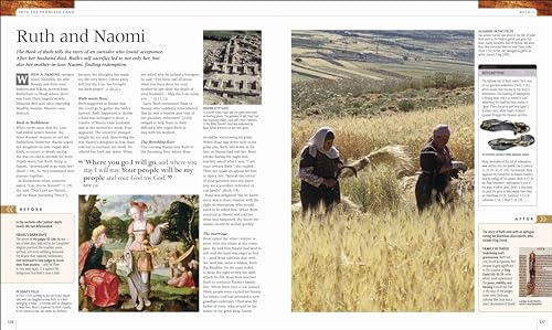 The Illustrated Bible Story by Story