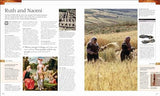 The Illustrated Bible Story by Story