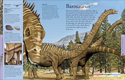 Dinosaurs A Children's Encyclopedia - Retail Maharaj