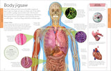 Human Body A Children's Encyclopedia