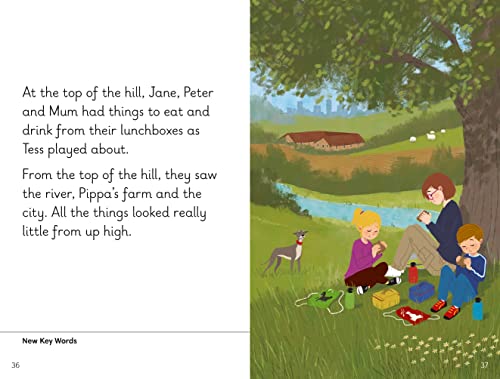 Key Words LVL : 7a : The Best Picture (Key Words with Peter and Jane)