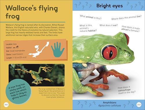 Quiz Yourself Clever! Animals of the World (DK Quiz Yourself Clever)
