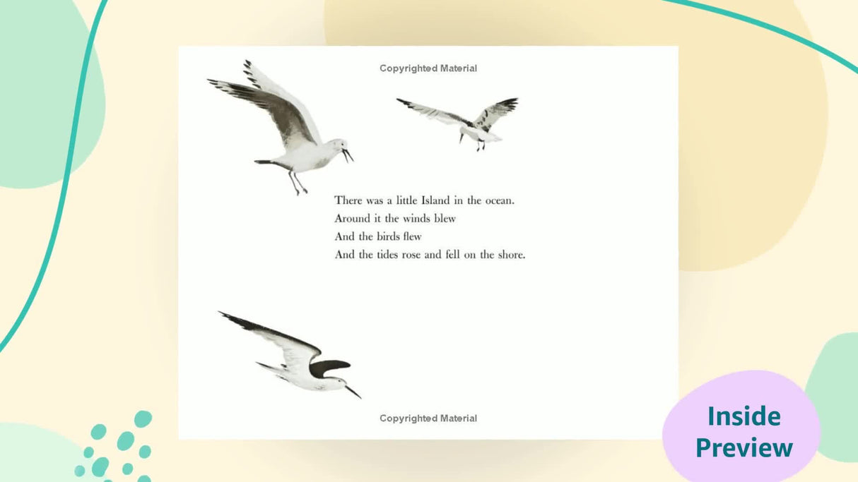 The Little Island: (Caldecott Medal Winner) - Retail Maharaj