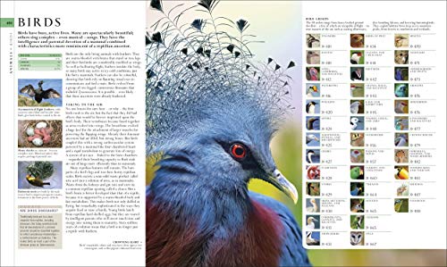 The Natural History Book: The Ultimate Visual Guide to Everything on Earth (DK Definitive Visual Encyclopedias)