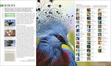 The Natural History Book: The Ultimate Visual Guide to Everything on Earth (DK Definitive Visual Encyclopedias)