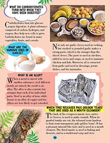 Nature Encyclopedia for Children Age 5 - 15 Years- All About Trivia Questions and Answers - Retail Maharaj