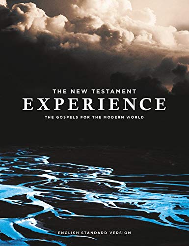 The New Testament Experience: The Gospels for the Modern World - Retail Maharaj