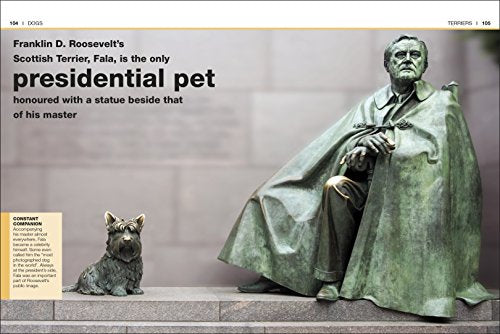 Pocket Eyewitness Dogs - Retail Maharaj