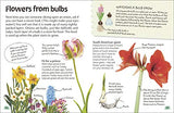 Flowers: Explore Nature with Fun Facts and Activities (Nature Explorers)