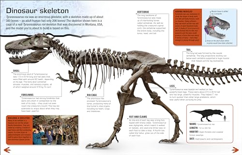 Make Your Own T. Rex: Easy to Build - No Glue, No Mess!
