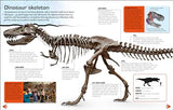 Make Your Own T. Rex: Easy to Build - No Glue, No Mess!