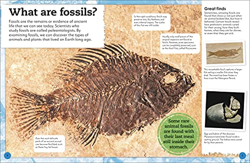 My Book of Fossils