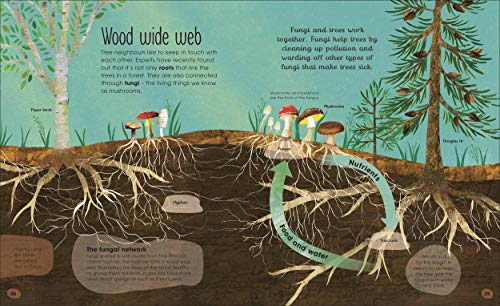 RHS The Magic and Mystery of Trees - Retail Maharaj