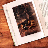 The Hobbit Âillustrated Editionã - Retail Maharaj
