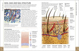 The Concise Human Body Book
