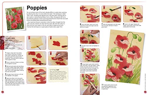 Ready to Paint in 30 Minutes: Flowers in Watercolour - Retail Maharaj