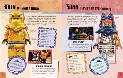 LEGO Ninjago Dragons Rising Character Guide: With LEGO Sora Minifigure