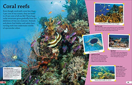 DKfindout! Oceans - Retail Maharaj