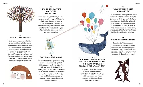 Everything Under the Sun: a curious question for every day of the year