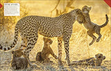 Born to be Wild: How Baby Animals Survive and Thrive