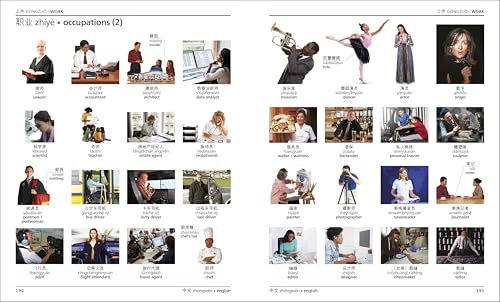 Mandarin Chinese English Bilingual Visual Dictionary