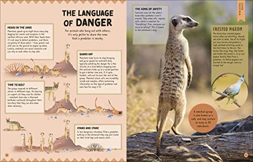 How Not to Get Eaten: More than 75 Incredible Animal Defenses (Wonders of Wildlife)