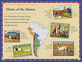 Llamas