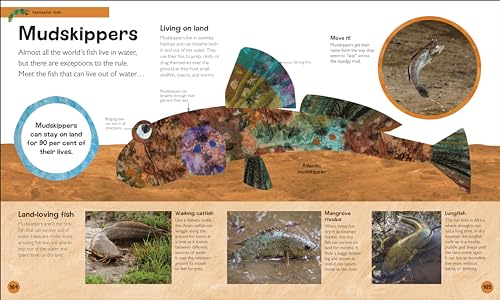 The Very Hungry Caterpillar's Very First Animal Encyclopedia: An Introduction to Animals, For VERY Hungry Young Minds