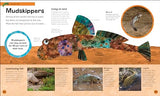 The Very Hungry Caterpillar's Very First Animal Encyclopedia: An Introduction to Animals, For VERY Hungry Young Minds