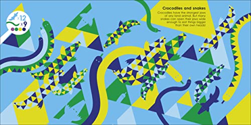 Hidden Animals: An Illustrated Guide to Evolution