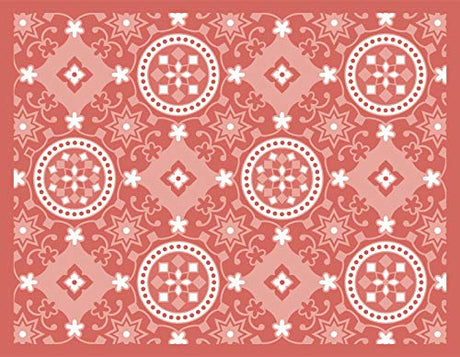 The Extraordinary Life of Malala Yousafzai - Retail Maharaj