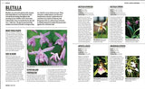 Grow Orchids: Essential Know-how and Expert Advice for Gardening Success