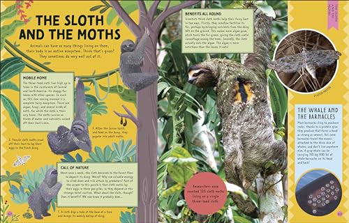 Odd Animals Out (Wonders of Wildlife)