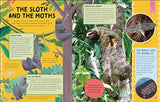 Odd Animals Out (Wonders of Wildlife)