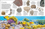 Fossil (Eyewitness) (DK Eyewitness)