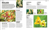Grow Orchids: Essential Know-how and Expert Advice for Gardening Success