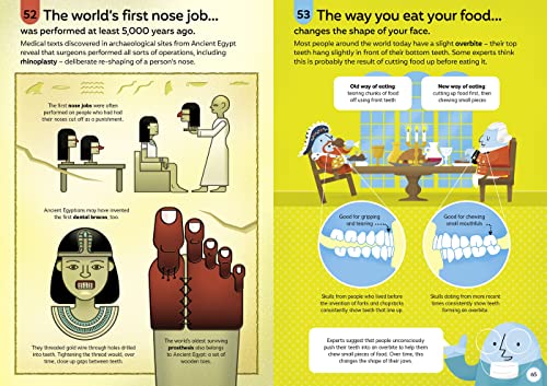 100 Things To Know About The Human Body - Retail Maharaj