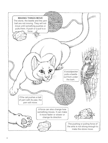 My First Book about Physics