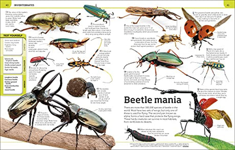 Animal Knowledge Genius!: A Quiz Encyclopedia to Boost Your Brain - Retail Maharaj