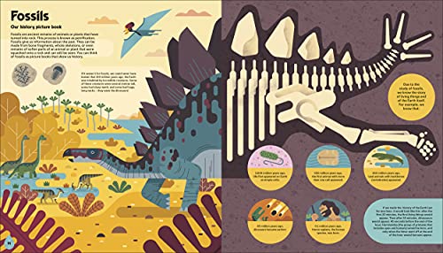 Evolved: An Illustrated Guide to Evolution