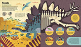 Evolved: An Illustrated Guide to Evolution
