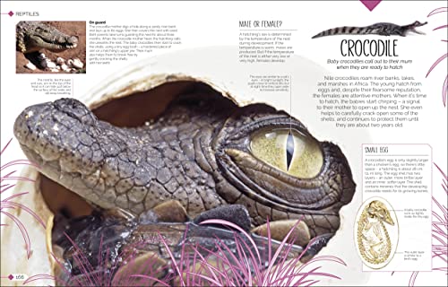 Born to be Wild: How Baby Animals Survive and Thrive